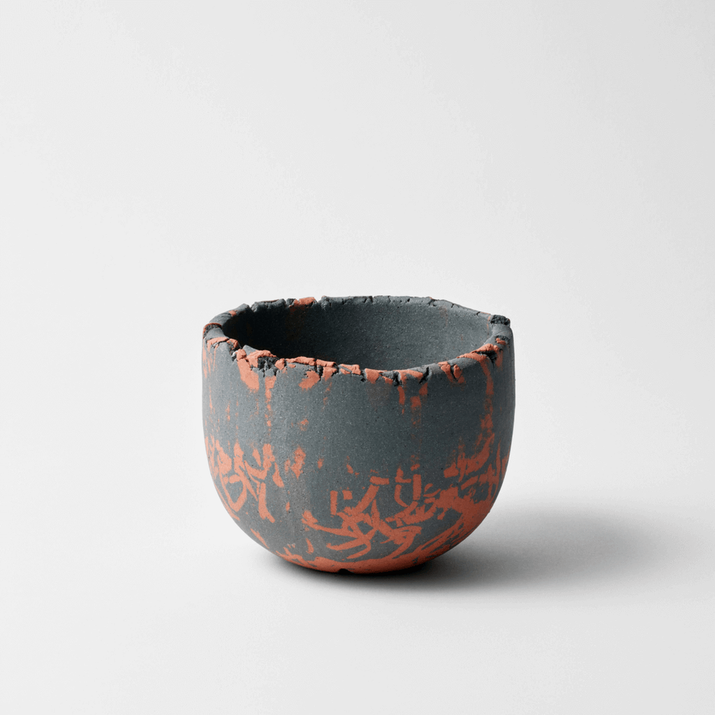 Plant Bowl 12. (Rossa Color)